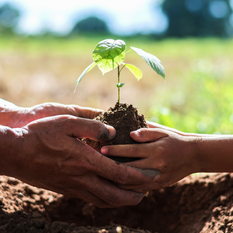 Good Earth Foundation
