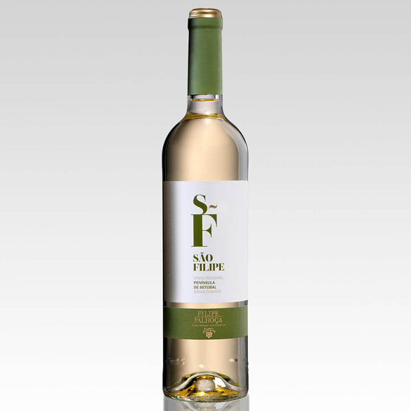 Filipe Palhoca Sao Filipe White 2017